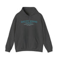 Salty Veins Hoodie — Chase the Current Sweatshirt